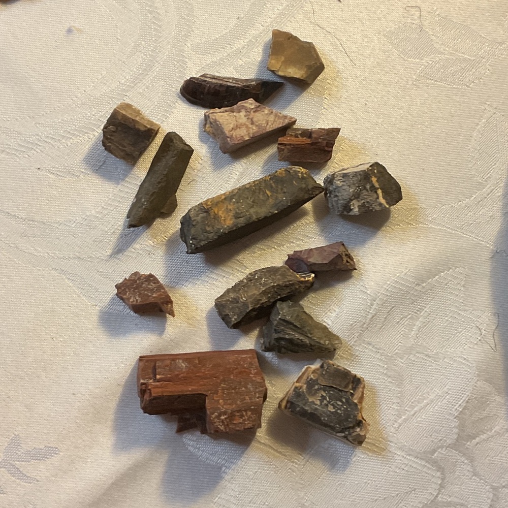 Petrified Wood